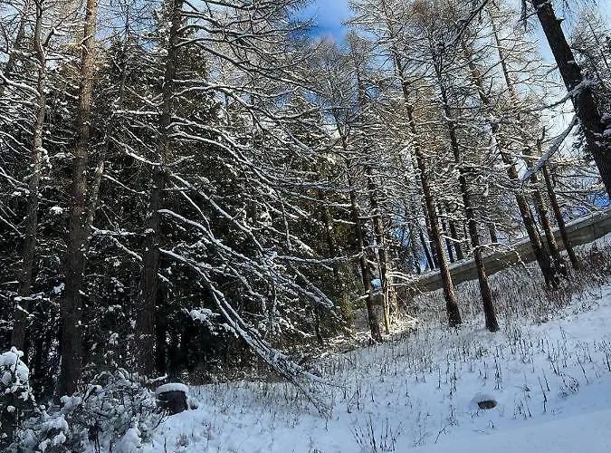 Smarthome Of The World São Moritz